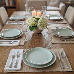 Set of 2 Dinner plates